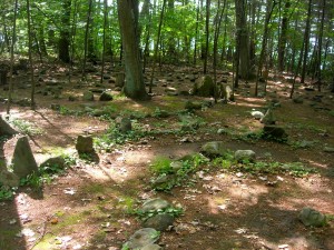 Two labyrinths in the woods of Rolling Ridge Retreat Center in No. Andover, MA on solstice day, 2011